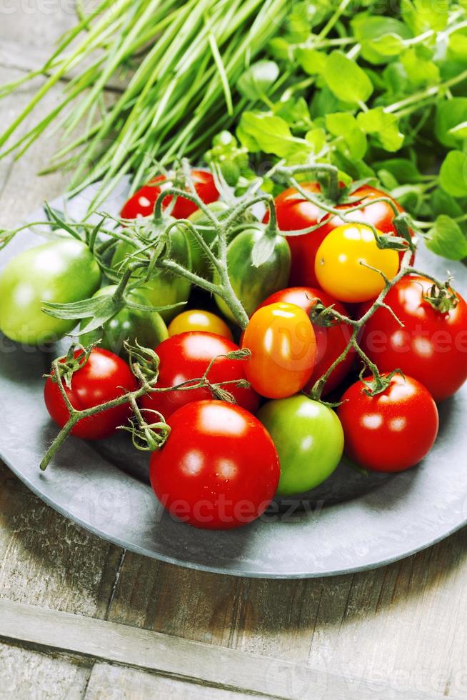 frische Tomaten foto