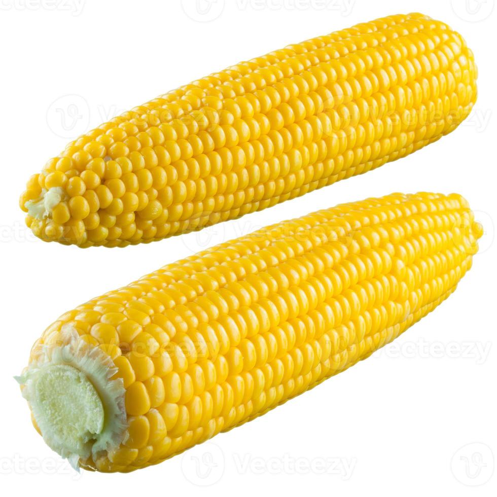 Mais lokalisiert auf einem weißen Hintergrund. mit Beschneidungspfad foto