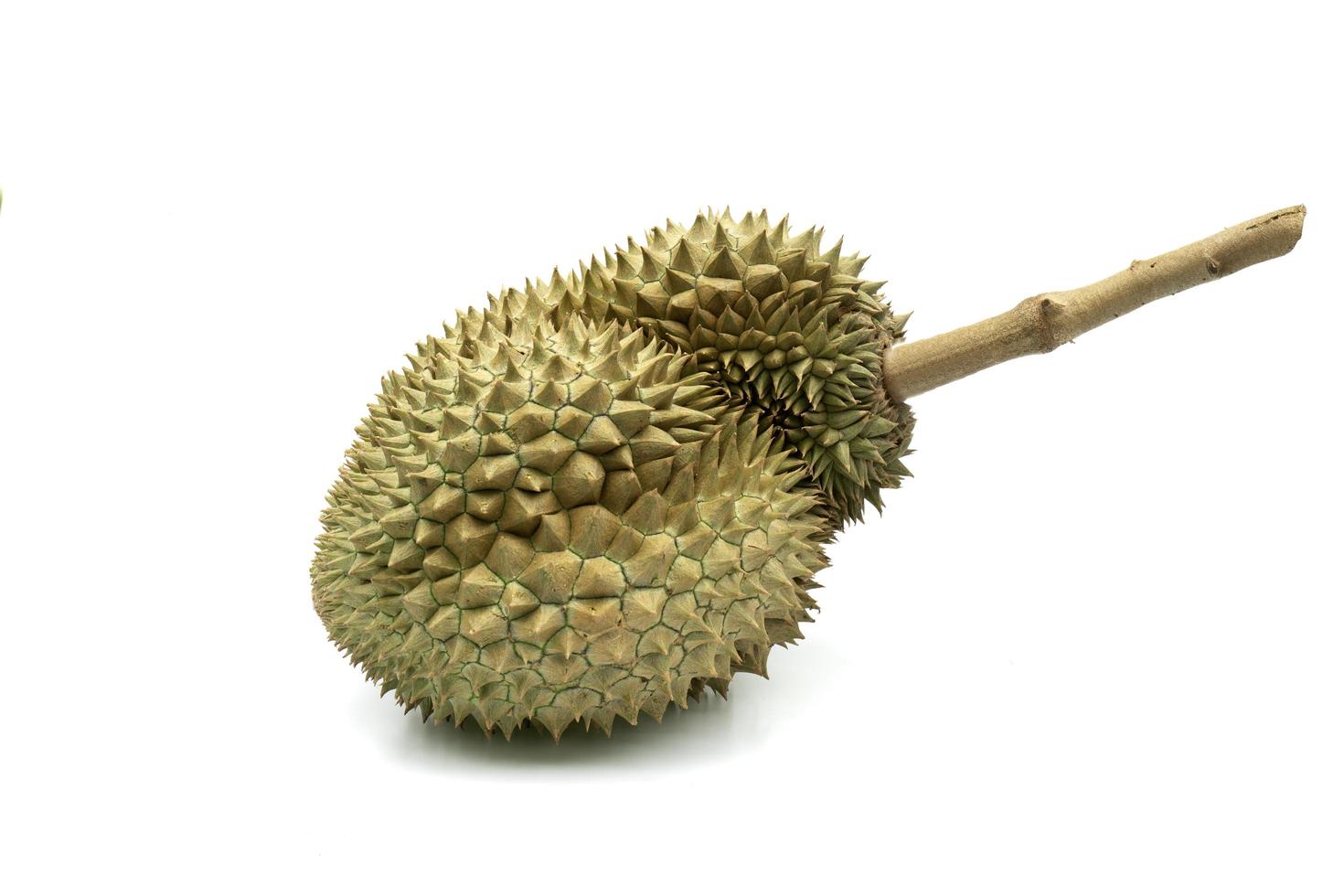 Durian vom weißen Hintergrund isoliert. Saisonfrüchte in Thailand. Weicher Fokus. foto