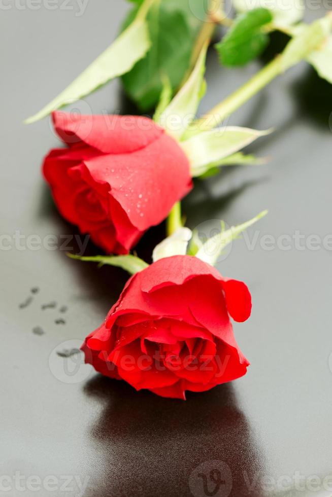 zwei rote Rosen auf Platte Draufsicht foto