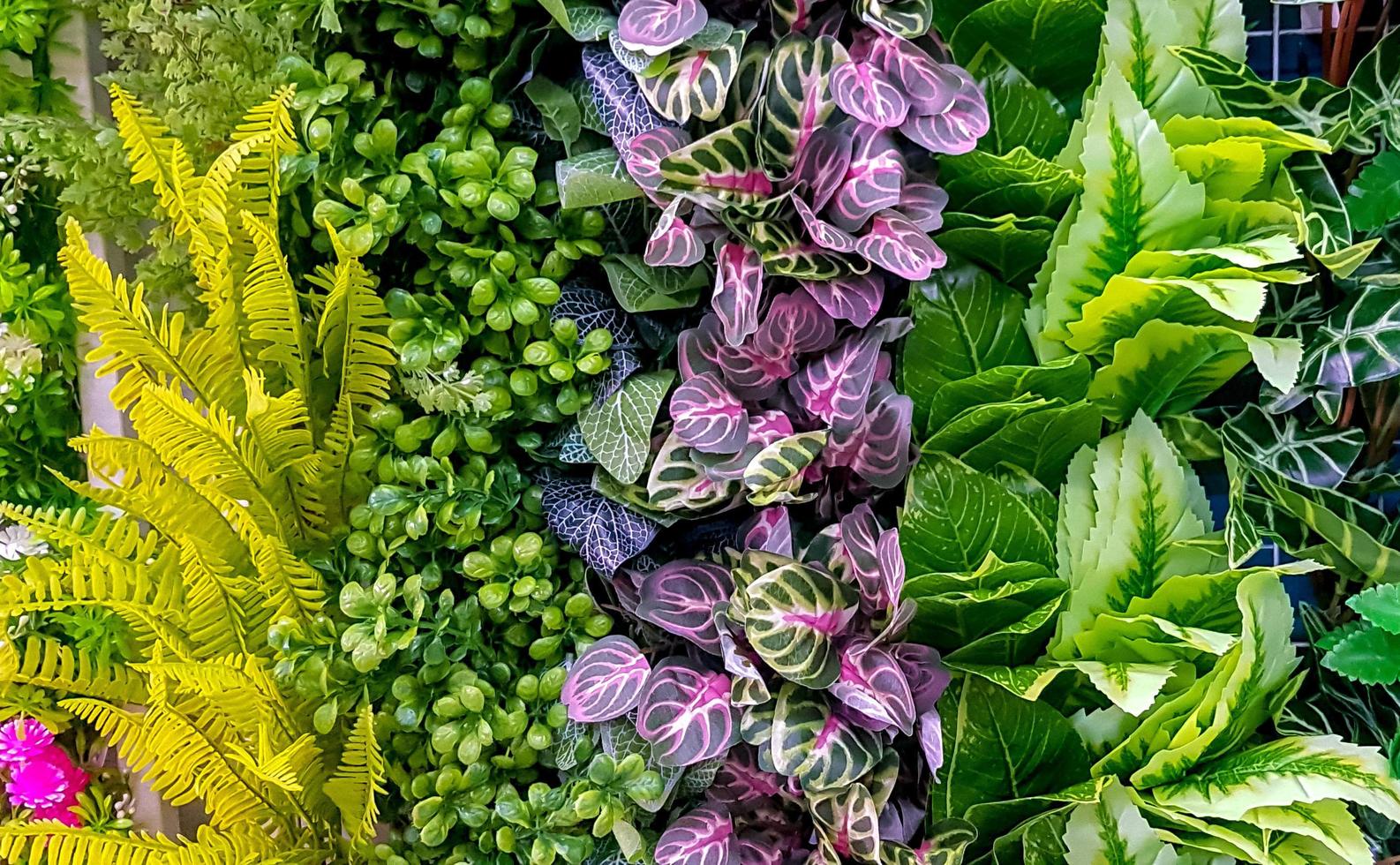 bunte Blumen und Blätter für dekorative Hintergründe. kostenloses Foto