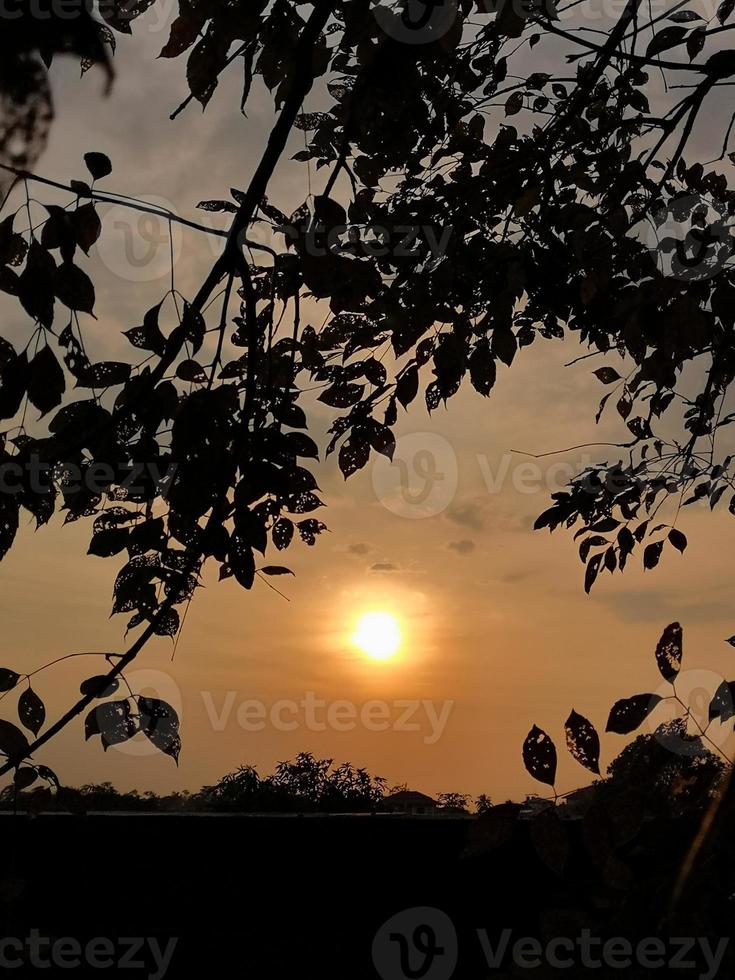 schöner Sonnenuntergang über dem Feld foto