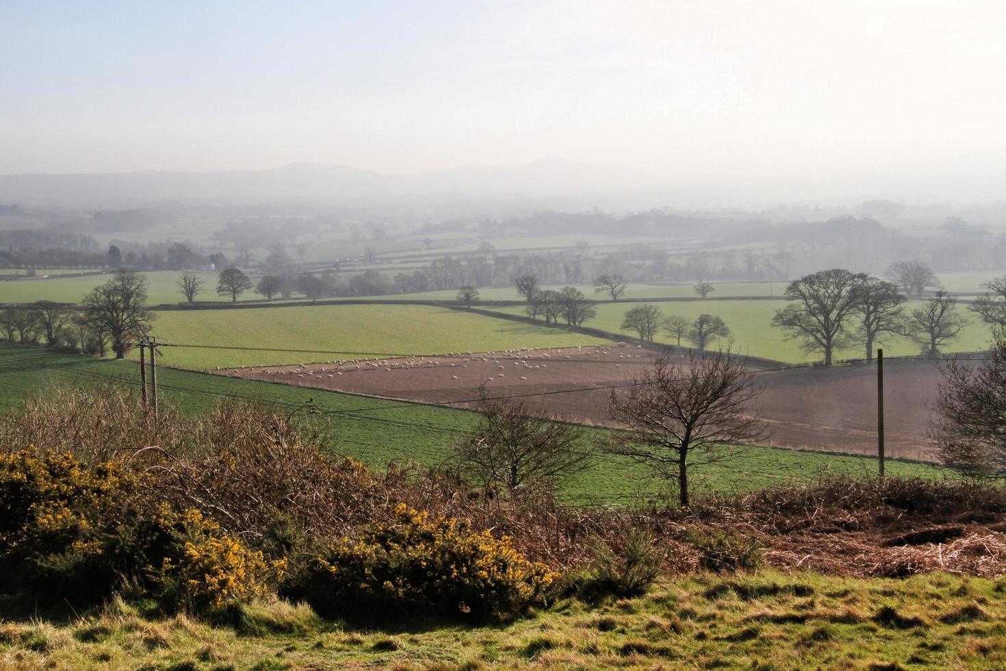 ein blick auf die landschaft von shropshire in der nähe von shrewsbury foto