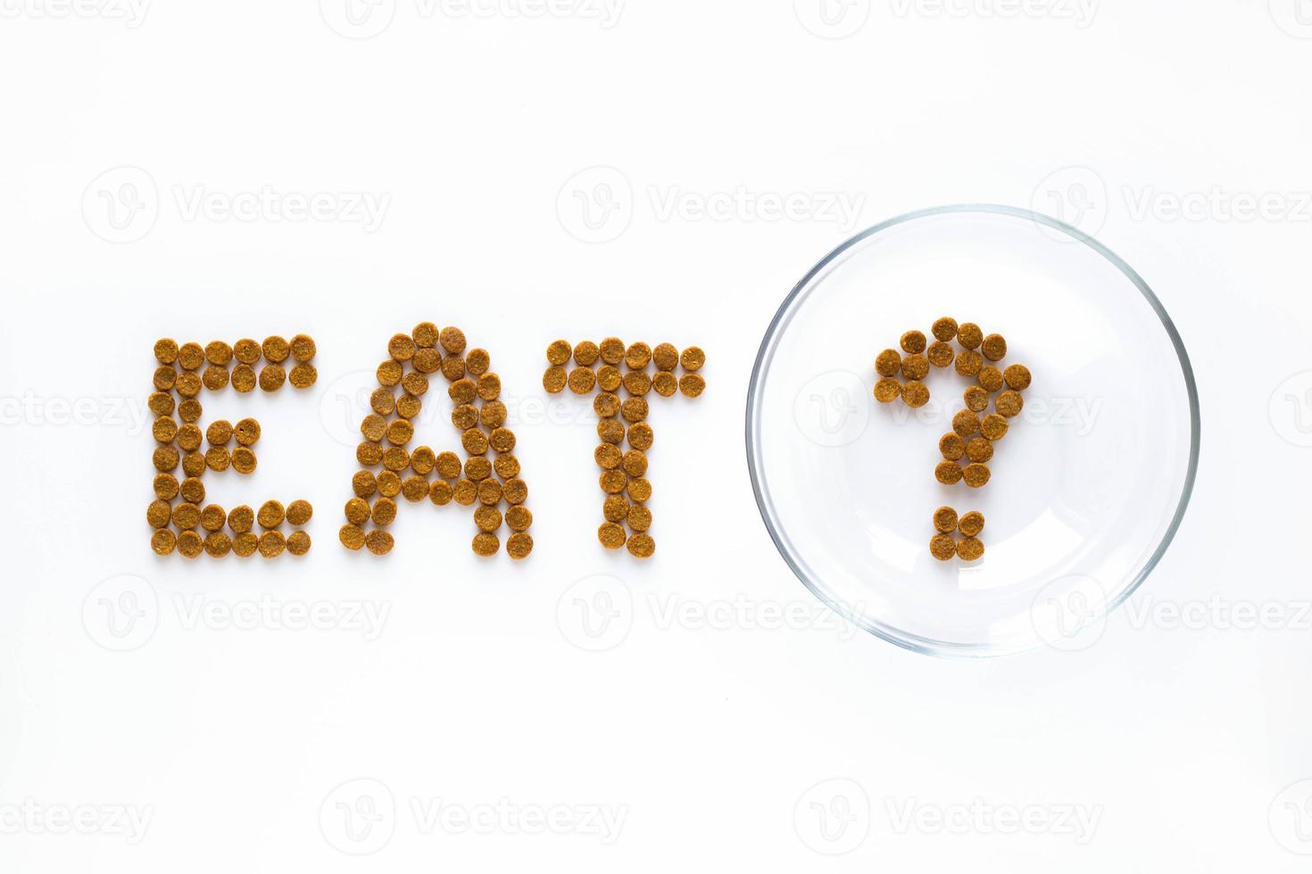 Wort Essen und Fragezeichen aus Trockenfutter mit leerer Schüssel. Tierpflege- und Veterinärkonzept mit Buchstaben auf weißem Hintergrund foto