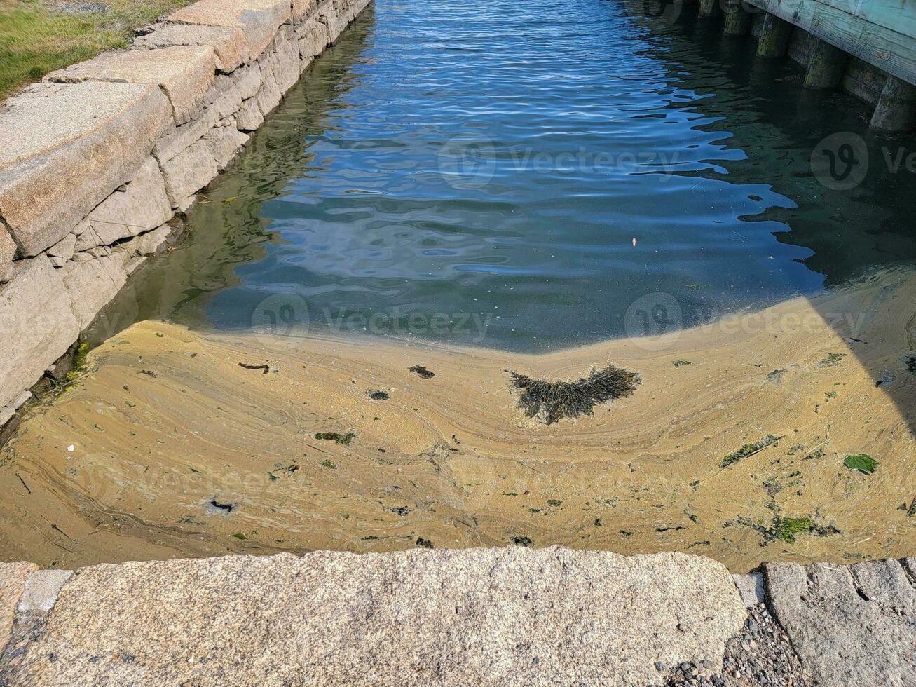 Fluss oder Kanal mit Steinen und Pollen, die auf dem Wasser schwimmen foto