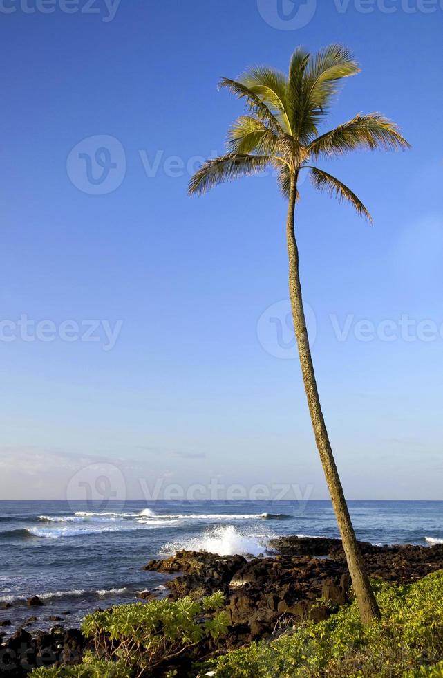 Hawaii Seelandschaft. foto