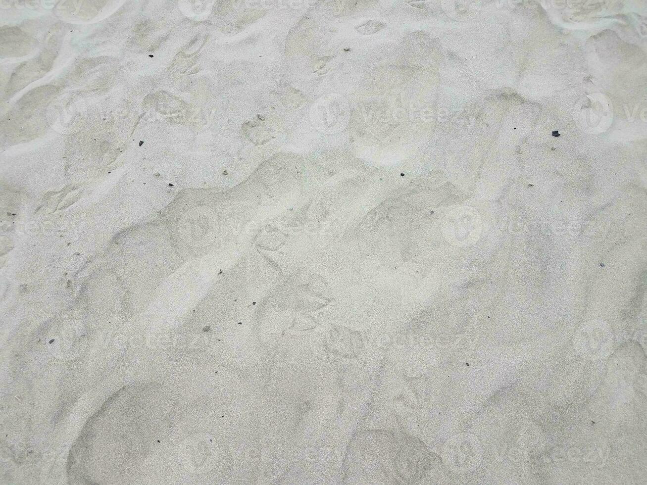 Vogelabdrücke oder -spuren auf trockenem Sand foto