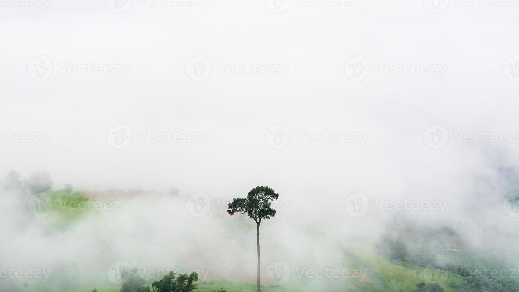 Berge mit Bäumen und Nebel in Thailand foto