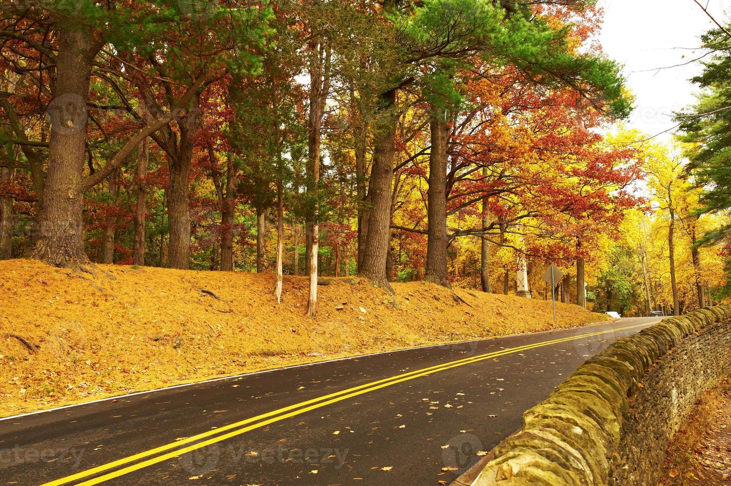 Herbstszene mit Straße im Wald foto