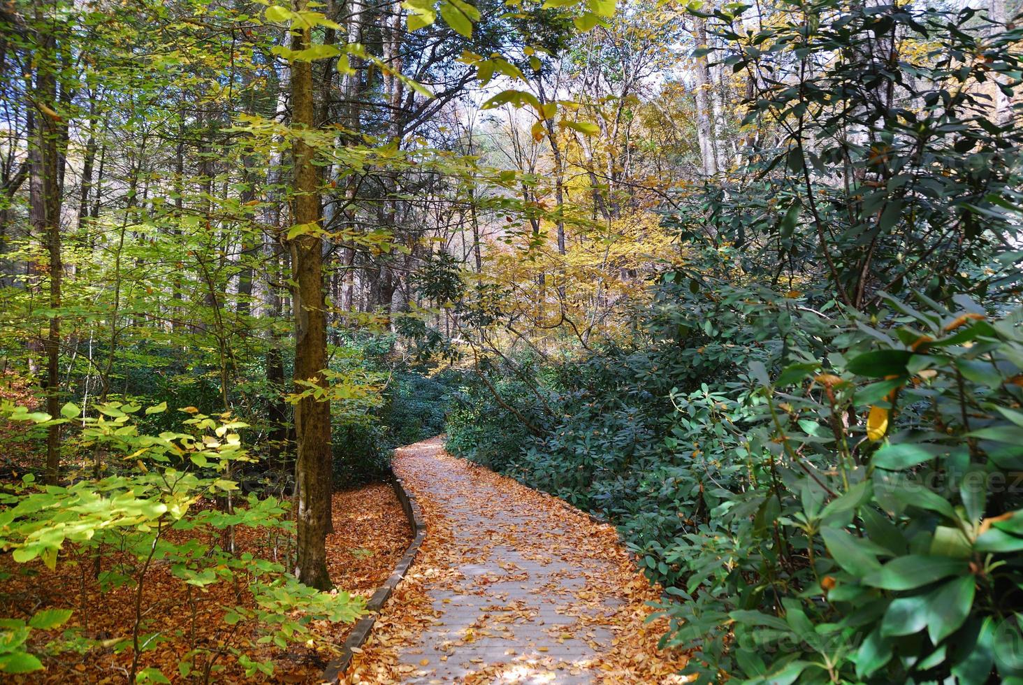 Herbstwanderweg foto