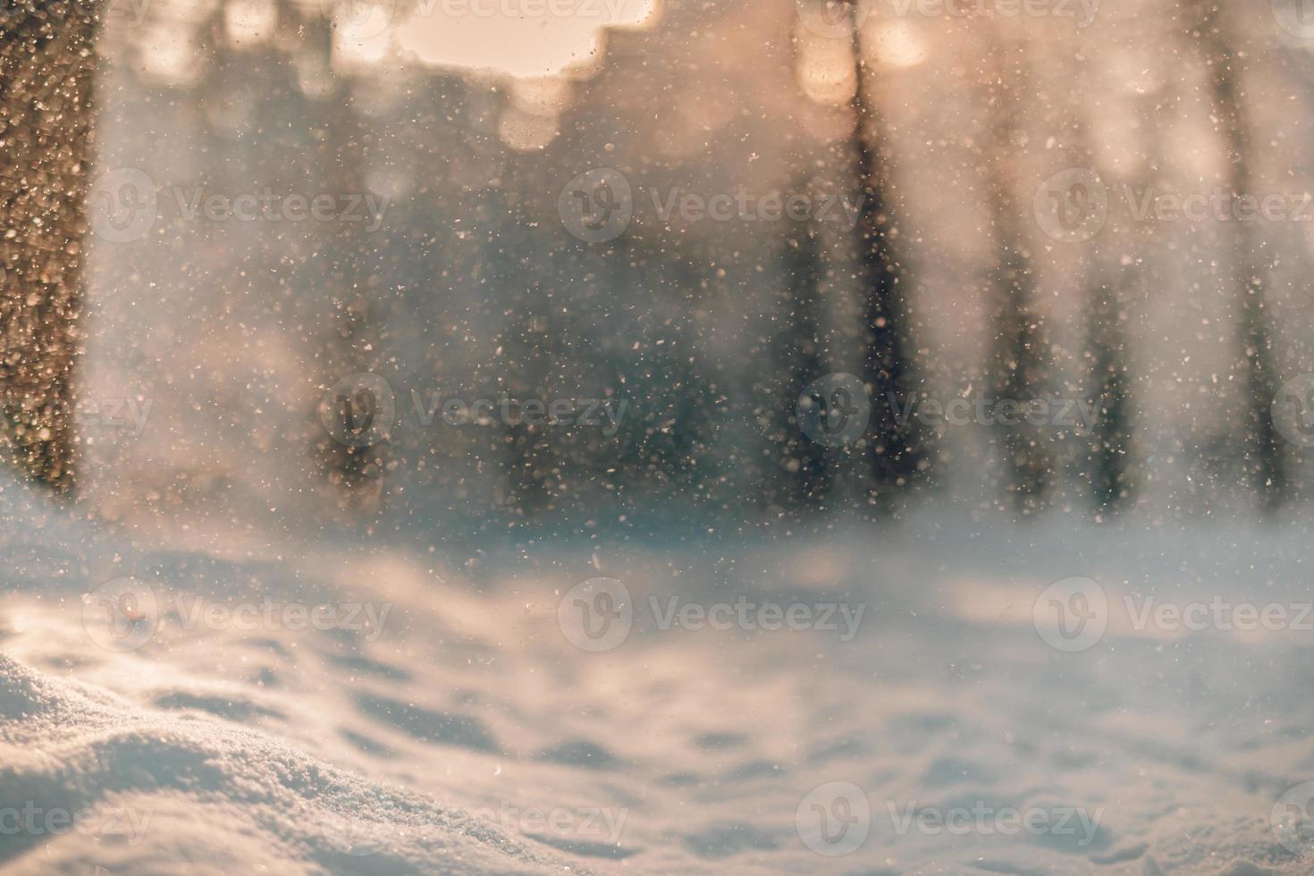 Nahaufnahme von Winterdetails. verschwommene Winterlandschaft frostige Bäume im verschneiten Wald am sonnigen Morgen. ruhige winternatur im bokeh sonnenlicht foto