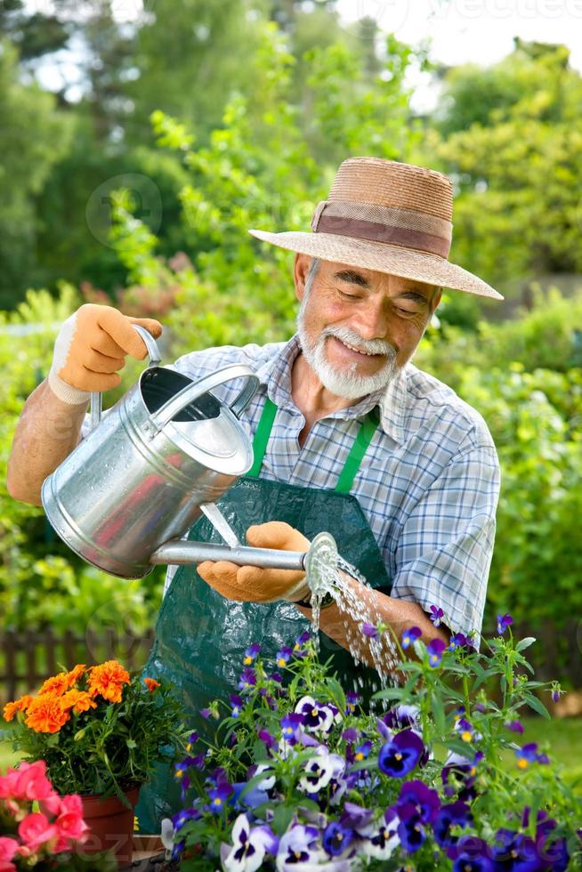 lächelnder älterer Mann, der Wasser im Garten im Freien gießt foto