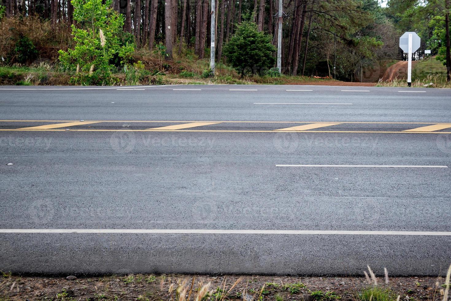 Asphaltstraße im Wald foto