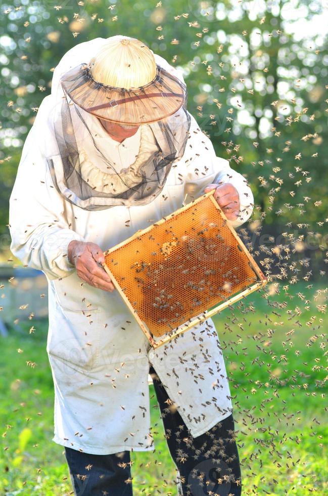 erfahrener älterer Imker und Bienenschwarm im Bienenhaus foto