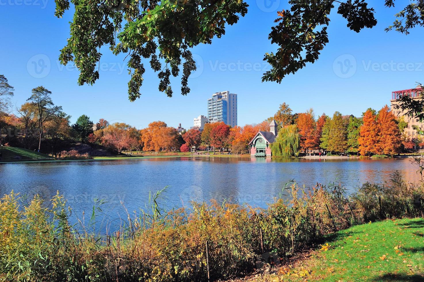 new york city central park herbst foto