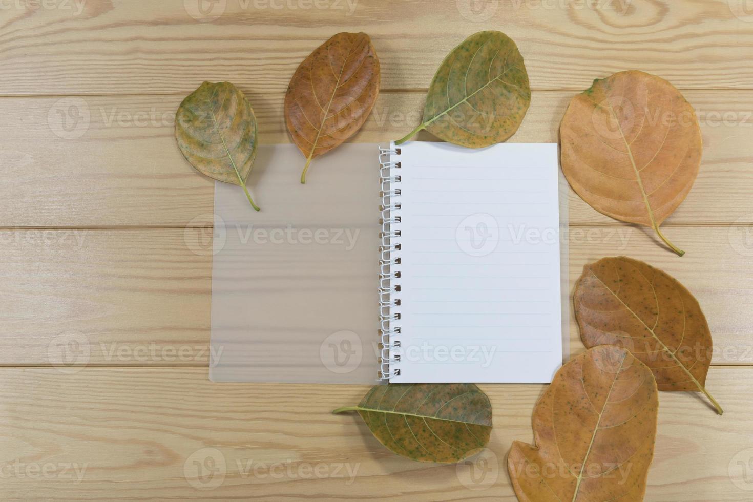 notizbuch und trockenes blatt auf holztisch. foto