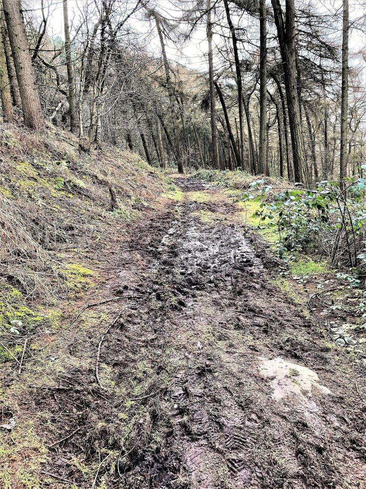 ein Blick auf die Landschaft von Cheshire bei Bickerton foto