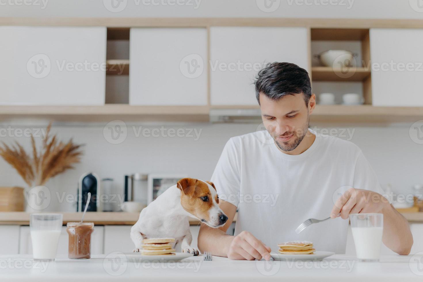 konzept für menschen, essen, trinken und haustiere. horizontale aufnahme eines gutaussehenden jungen mannes isst leckere süße pfannkuchen, sein rassehund sieht verlockt aus, verbringt das wochenende zu hause, posiert vor dem kücheninterieur. foto