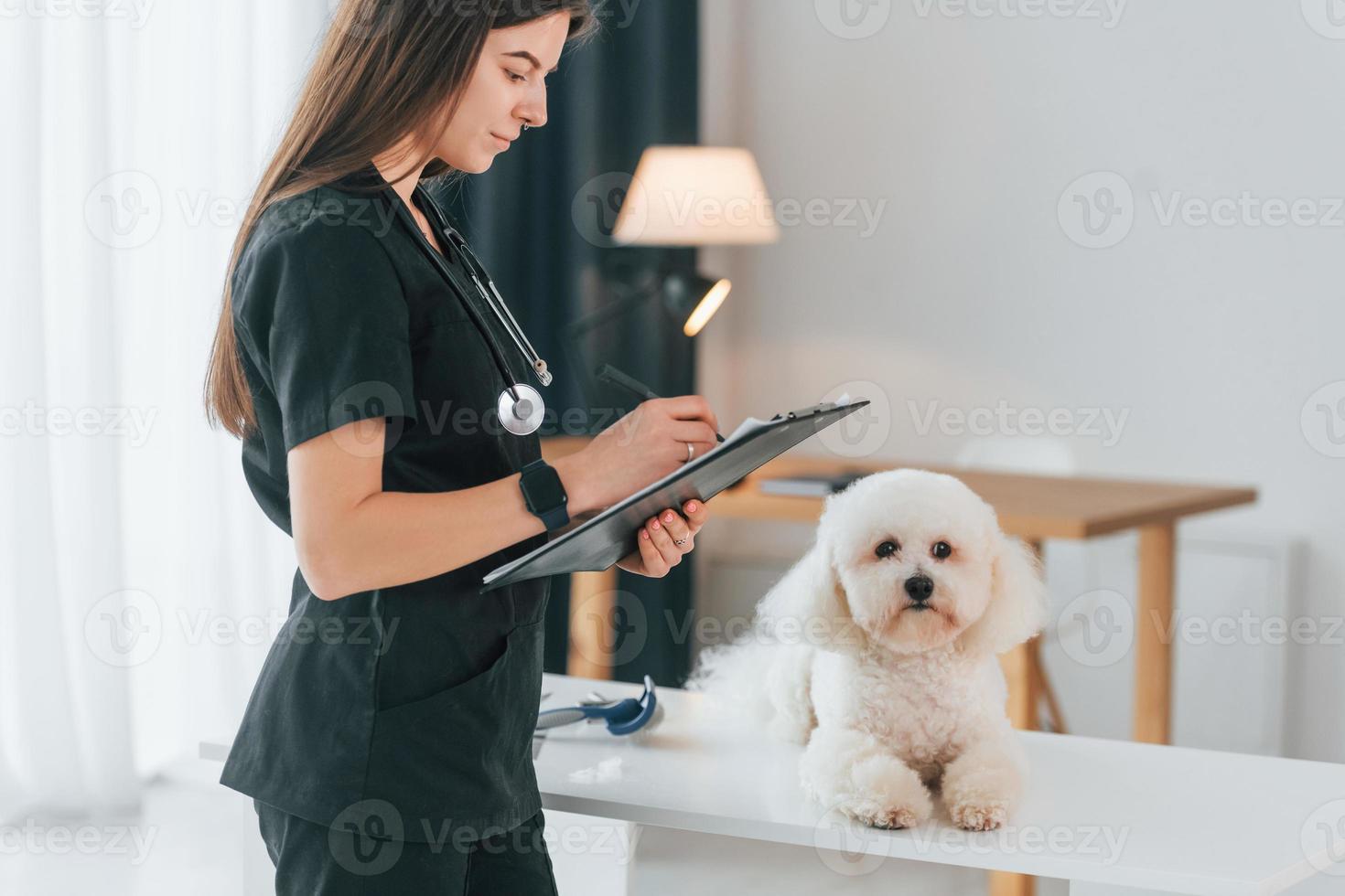 Arzt macht sich Notizen. süßer kleiner hund ist in der tierklinik foto