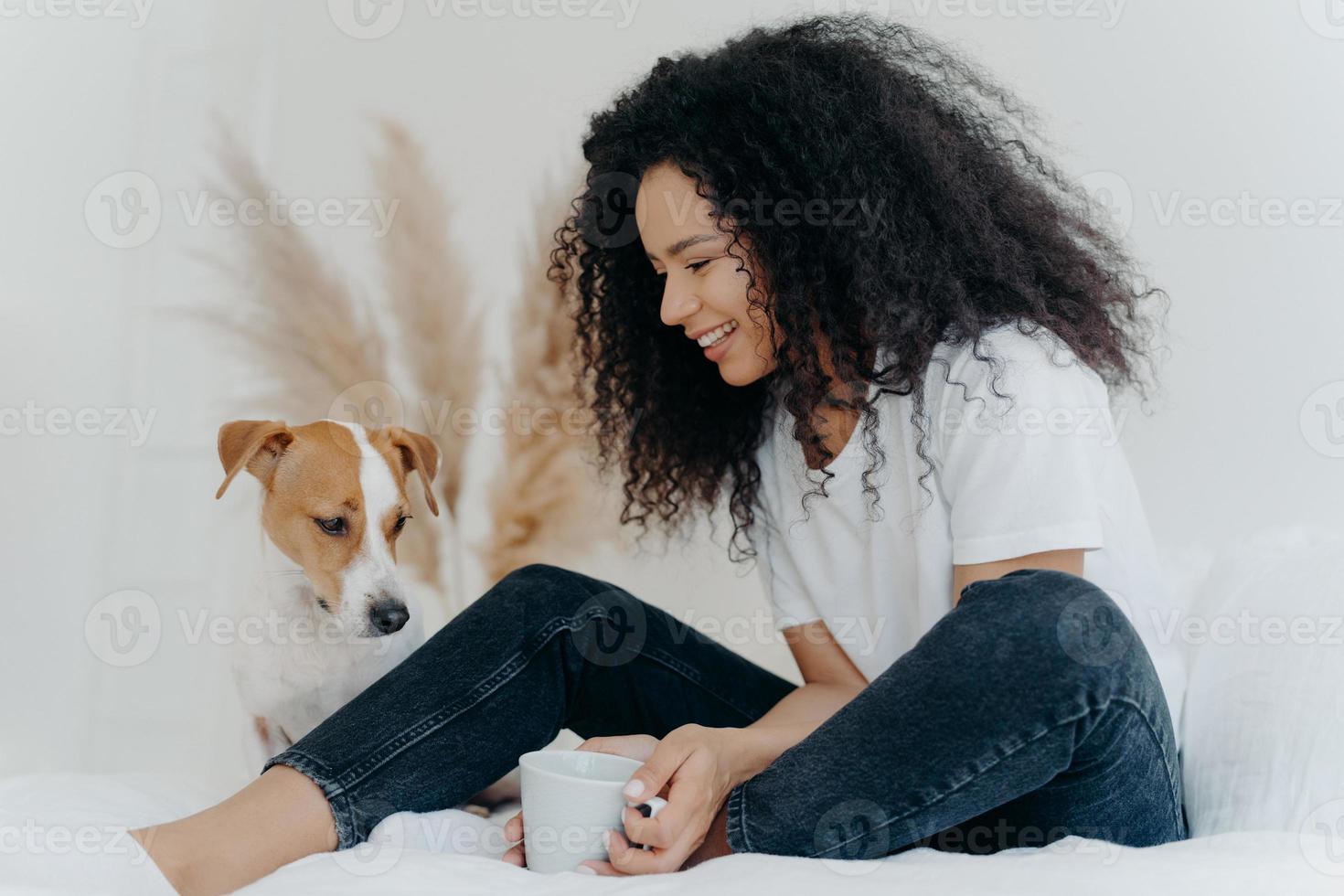 Foto der hübschen, lockigen Hündin sieht mit einem Lächeln auf das Tier, hält eine Tasse Tee, sitzt auf dem Bett in einem weißen, geräumigen Schlafzimmer, drückt die Liebe zum Tier aus. menschen, haustiere und freundschaftskonzept