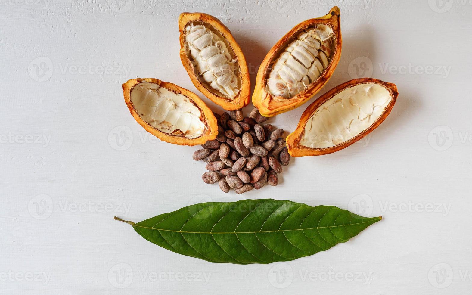 halbe Kakaoschoten und Kakaofrucht mit braunen Kakaobohnen foto