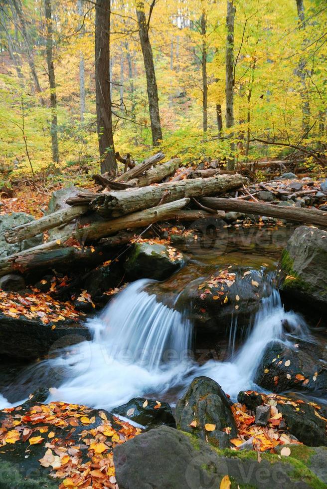 Blick auf den Herbstbach foto