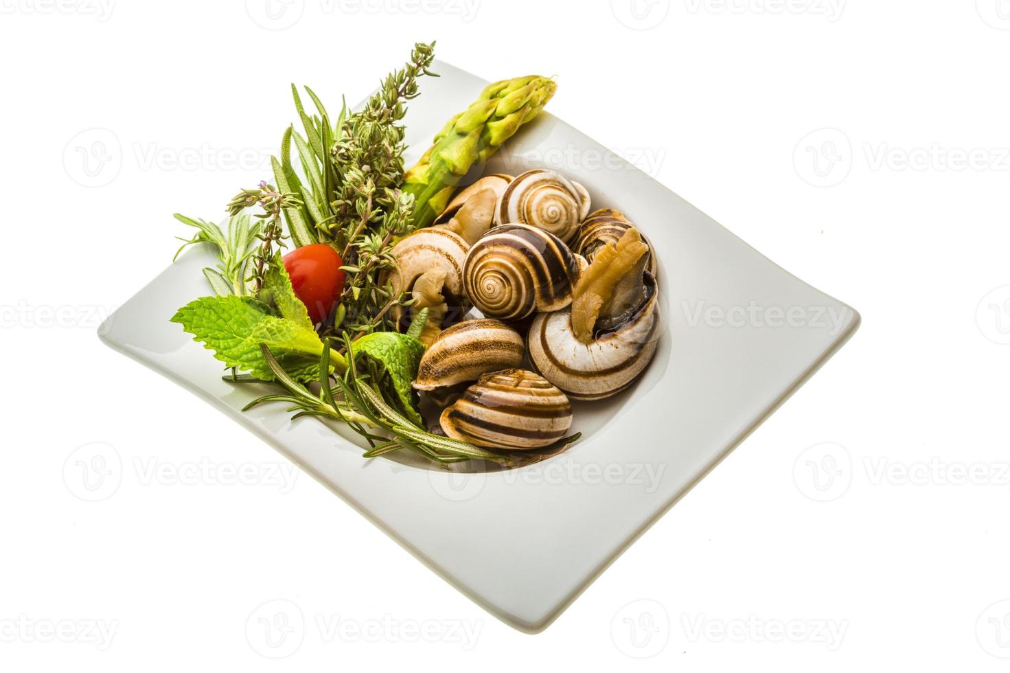 Schnecke mit Spargel, Rosmarin, Thymus und Tomate foto
