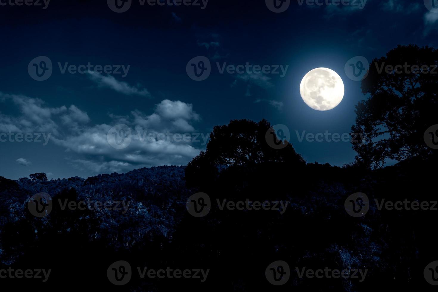 Nachtlandschaft im Frühling mit Vollmond und Wolken foto