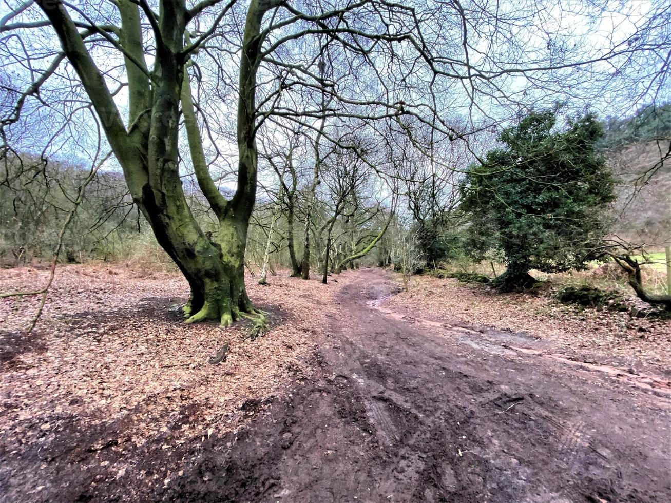 ein Blick auf die Landschaft von Cheshire in Peckforton Hills foto