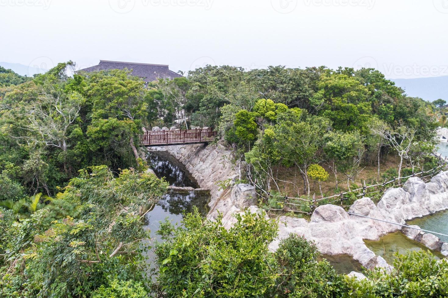 chinesischer dschungel, insel hainan foto