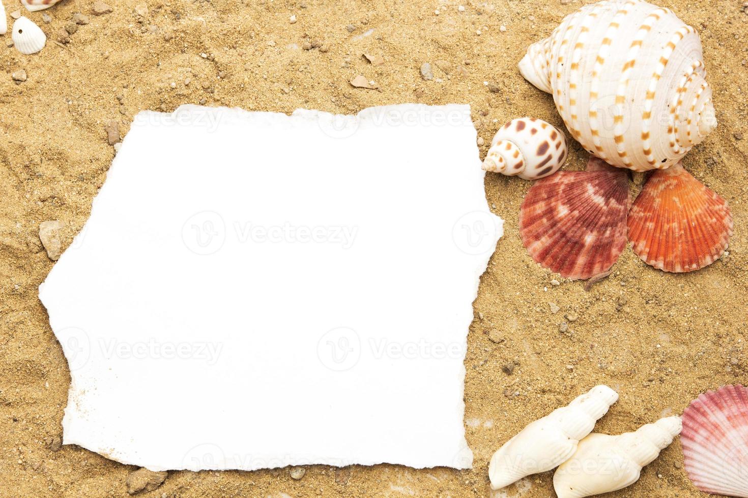 leeres papierkonzept für text mit rahmen, die mit muscheln auf sandigem hintergrund geschmückt sind. foto