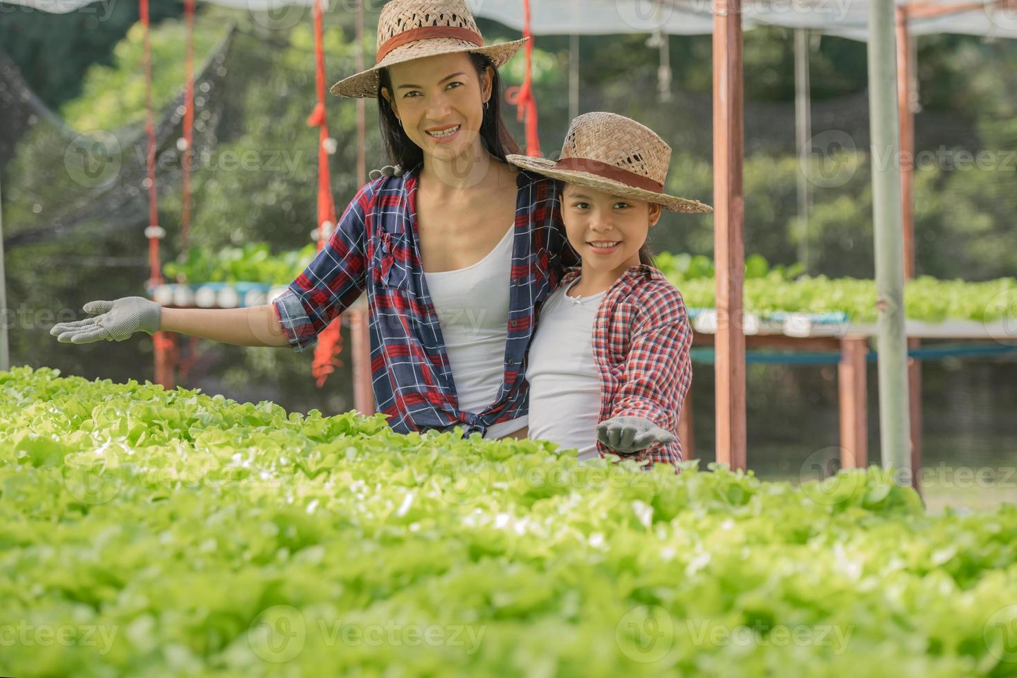 asiatische mutter und tochter helfen gemeinsam beim sammeln des frischen hydroponischen gemüses auf dem bauernhof, bei der konzeptgärtnerei und der kindererziehung der haushaltslandwirtschaft im familienlebensstil. foto