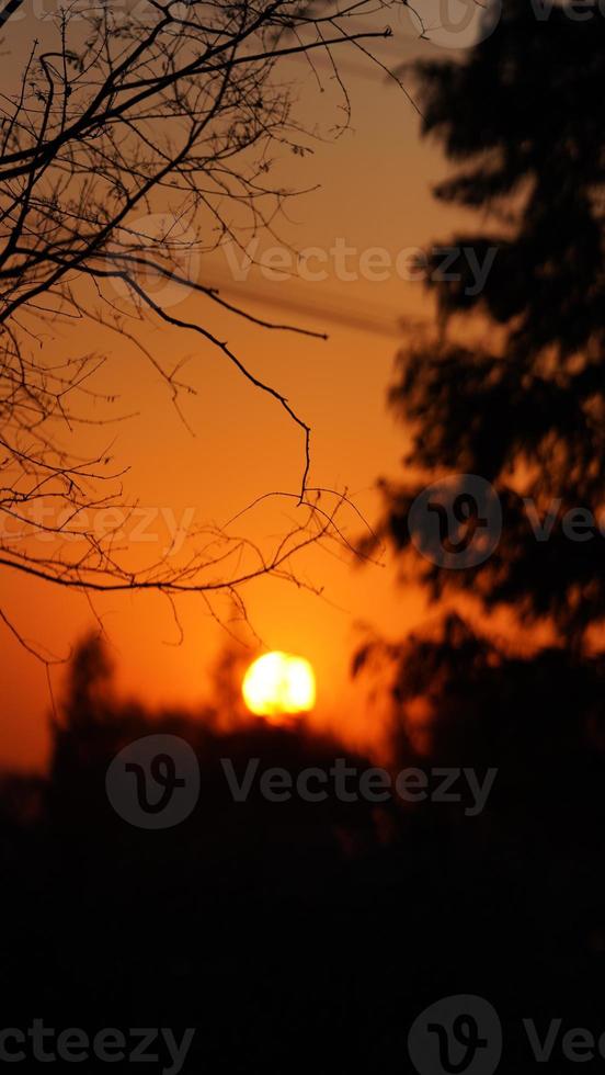 die schöne Aussicht auf den Sonnenuntergang im Wald mit dem warmen und farbenfrohen Sonnenlicht foto