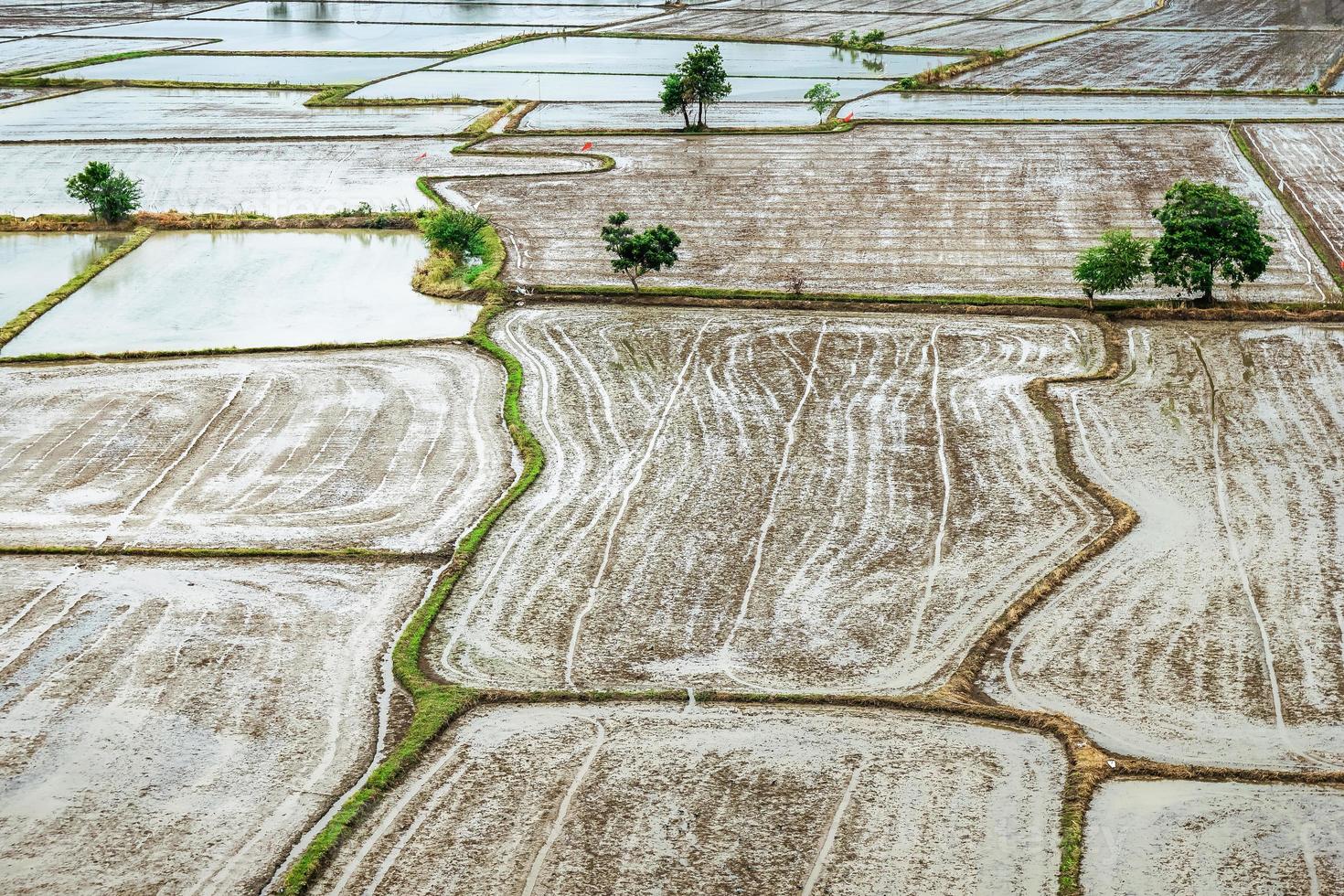 Hintergrund der Reisfelder, in der Regenzeit bereitet der Bauer einen Platz für die Reispflanzung vor. foto