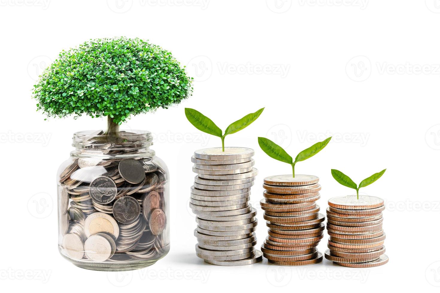 Baum-Plumule-Blatt auf Geldmünzen sparen, Geschäftsfinanzierung spart Bankinvestitionskonzept. foto