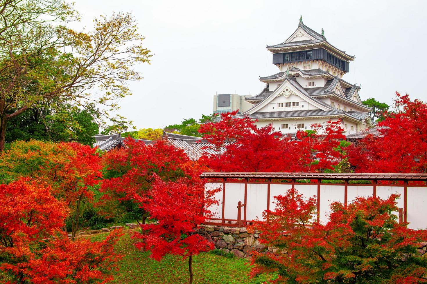 schloss kokura-jo, japanisches schloss im öffentlichen park katsuyama, gefüllt mit roten blättern in den herbstblättern. in Kitakyushu, Präfektur Fukuoka, Japan. foto