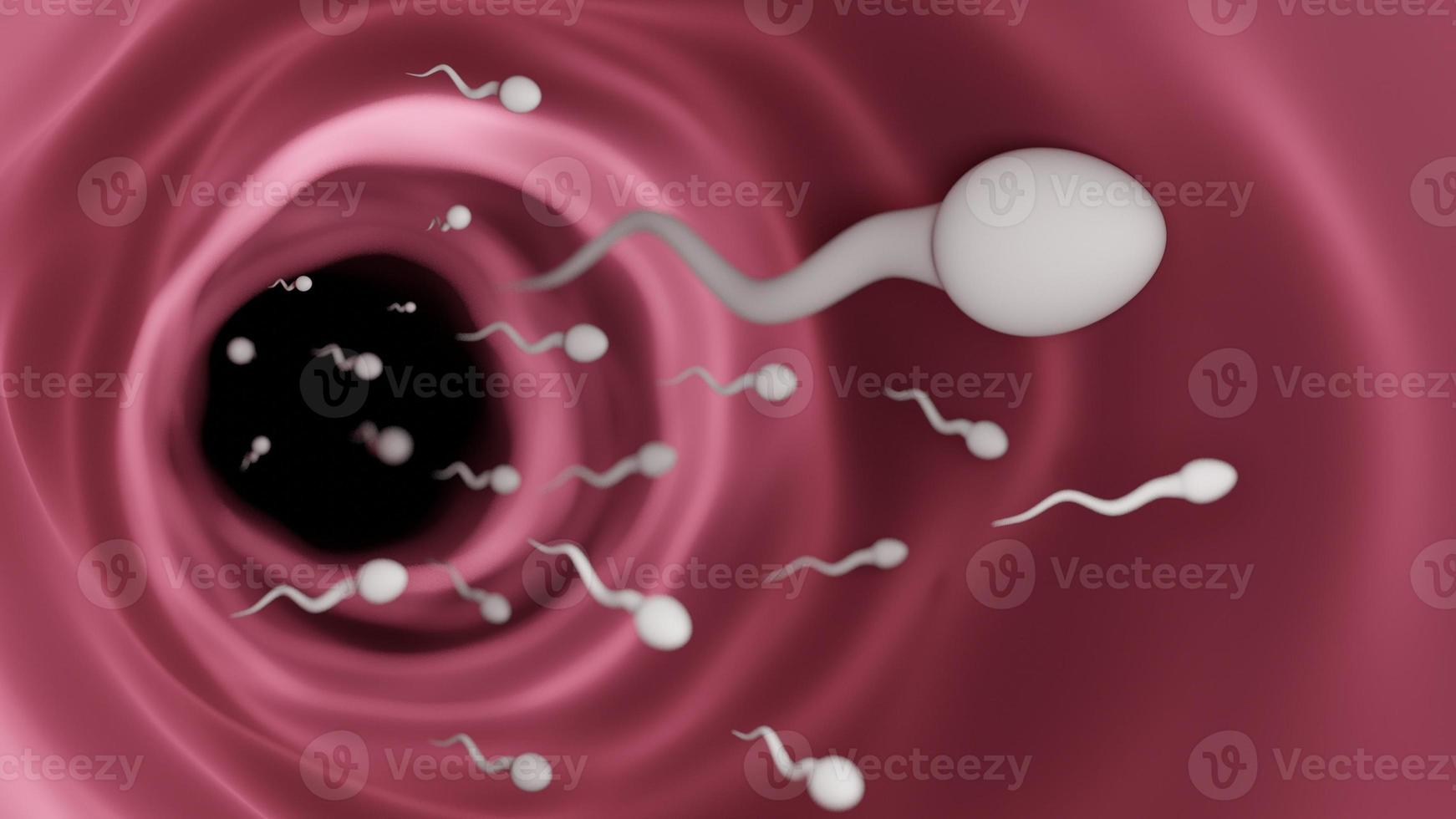 männliche Samenzellen. die Spermienfruchtbarkeit aus der Männerbewegung nach dem Sex. 3d-Darstellung. foto