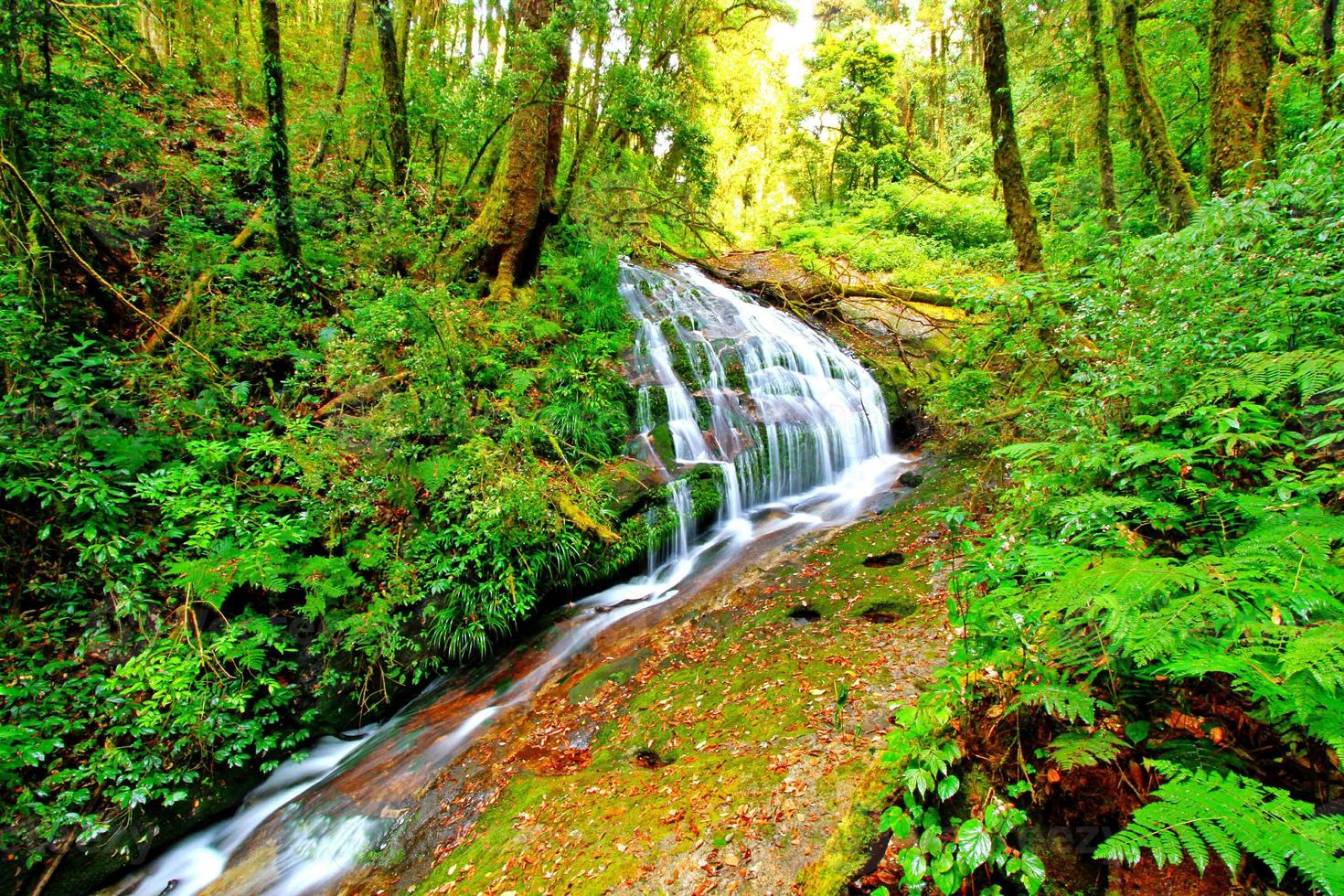 kleiner schöner wasserfall im tiefen wald am naturlehrpfad kew mae pan, doi inthanon nationalpark, chiangmai, thailand foto