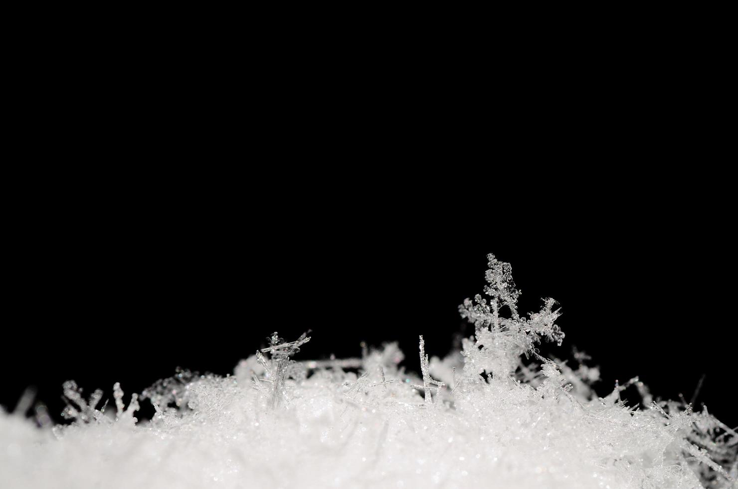 zarte schnürsenkel im schnee auf schwarz foto