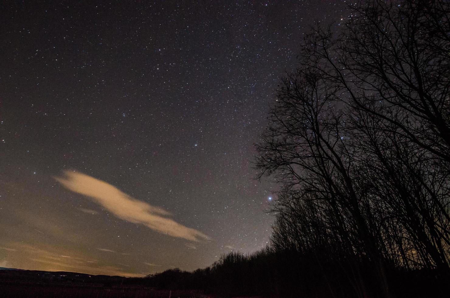 Wald und Sternenhimmel foto