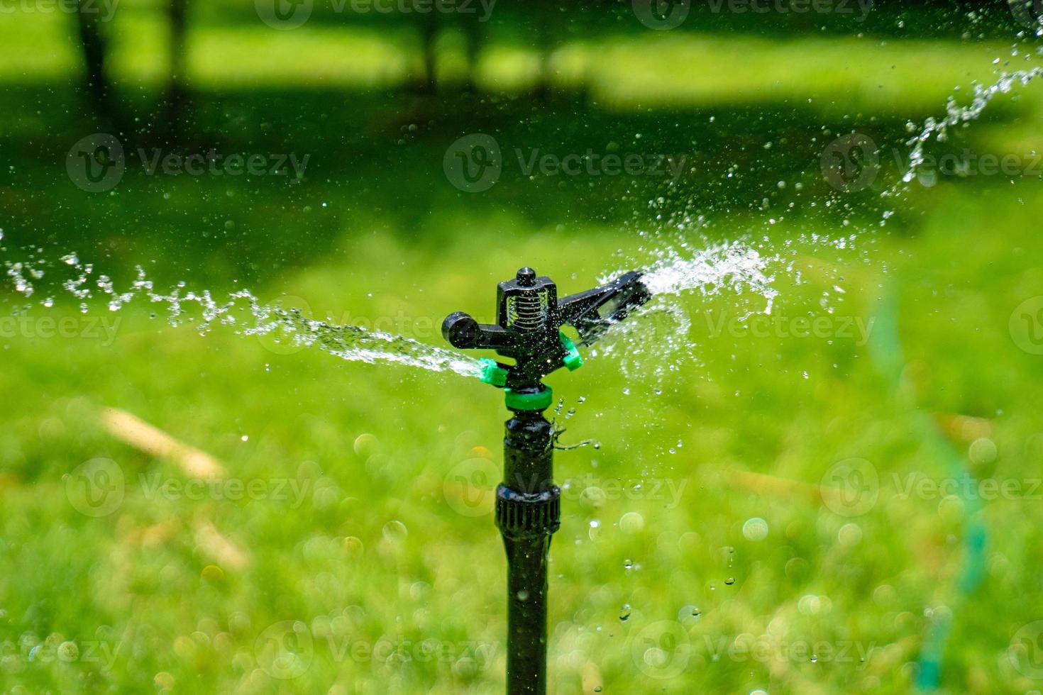 Frischwasserspritzer von der Sprinklerstange setzen sich im Grasfeld im Garten im Freien ab. foto