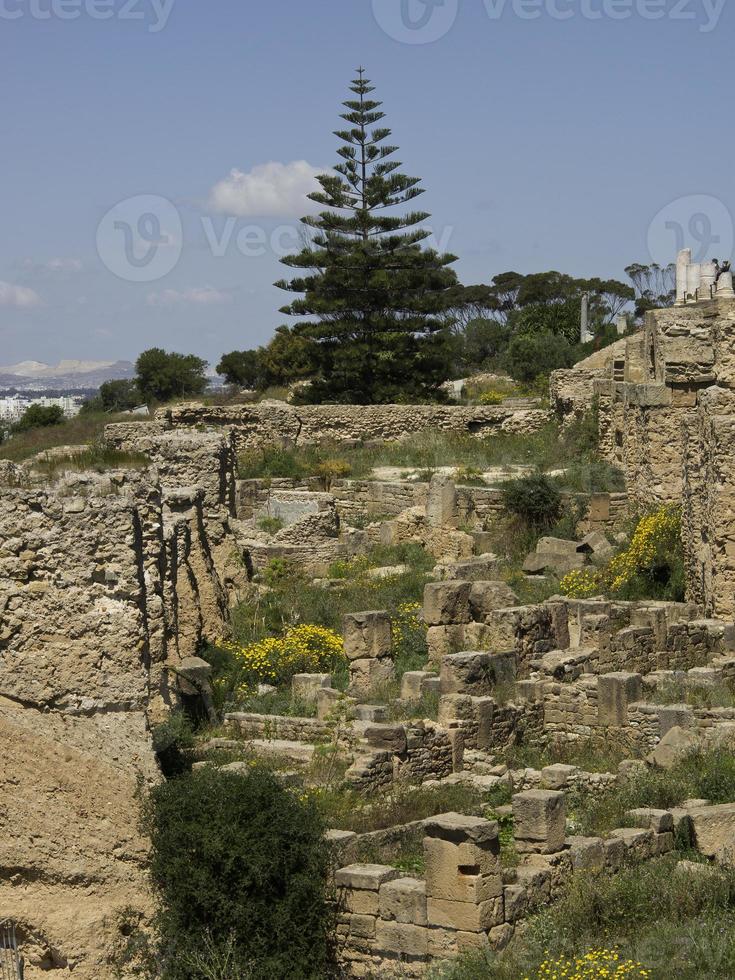 die Stadt Tunis in Tunesien foto