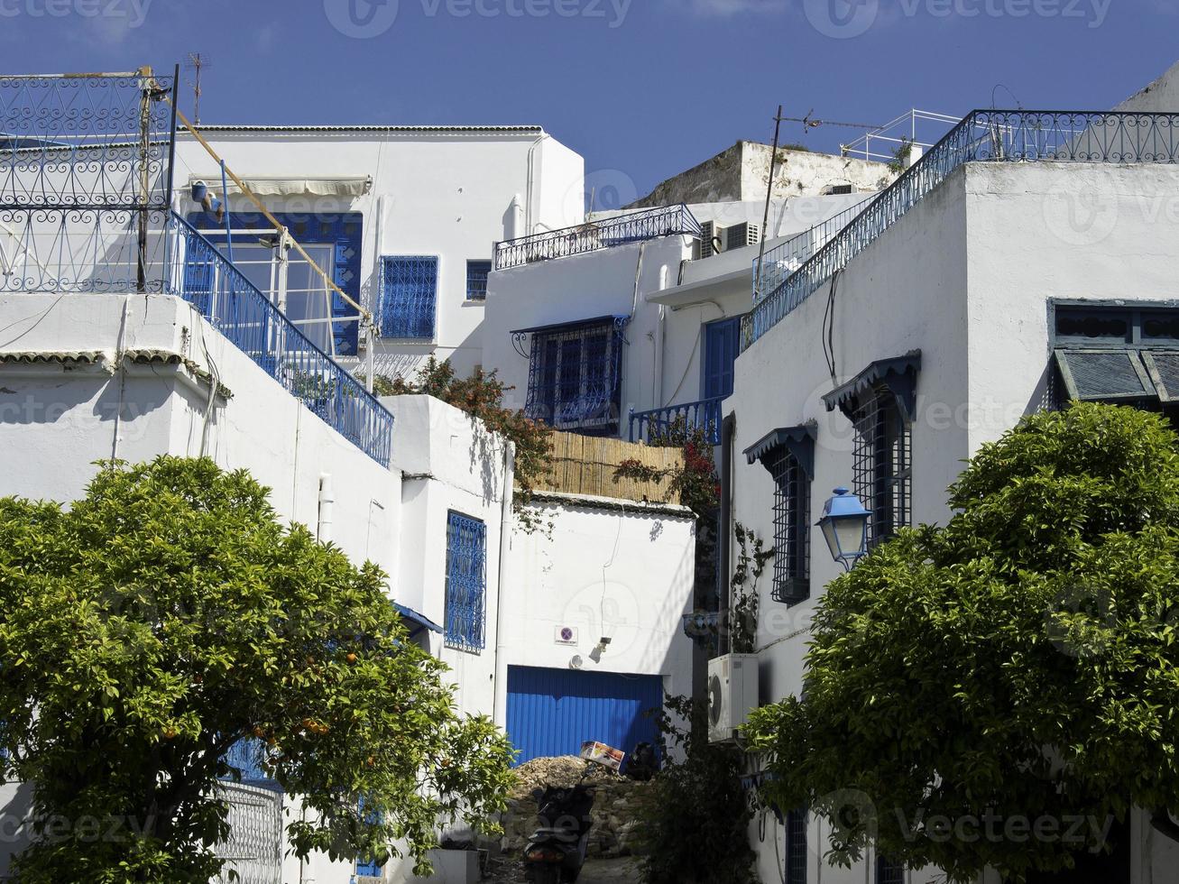 die Stadt Tunis in Tunesien foto