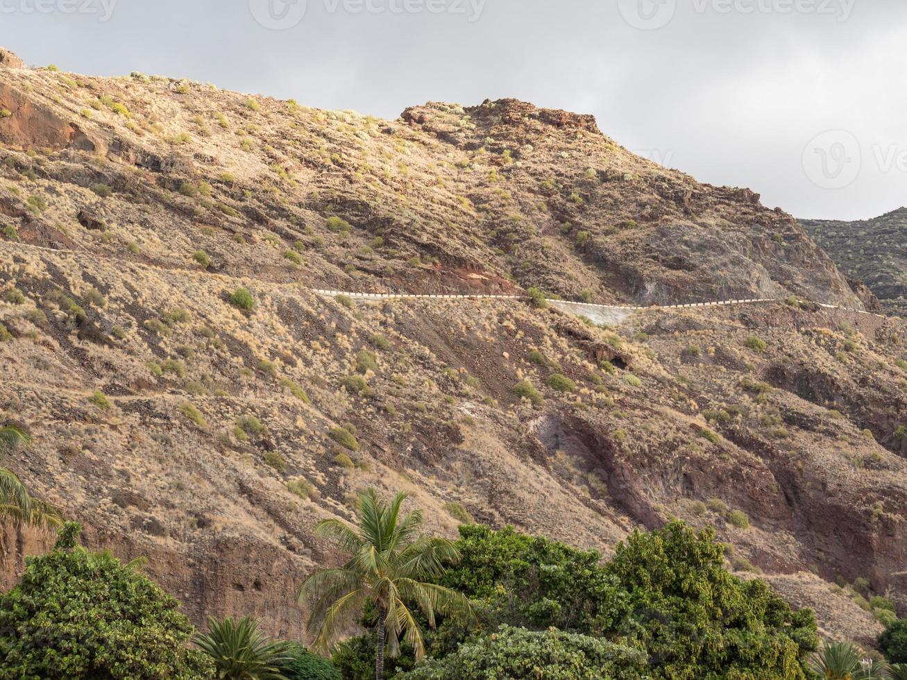 die Insel Teneriffa foto