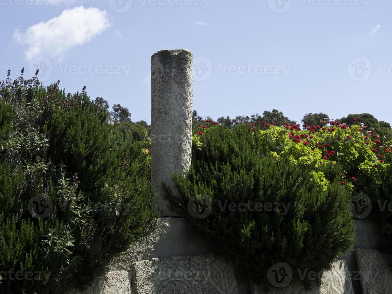 die Stadt Tunis in Tunesien foto