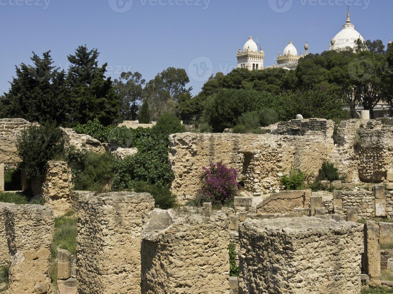 die Stadt Tunis in Tunesien foto