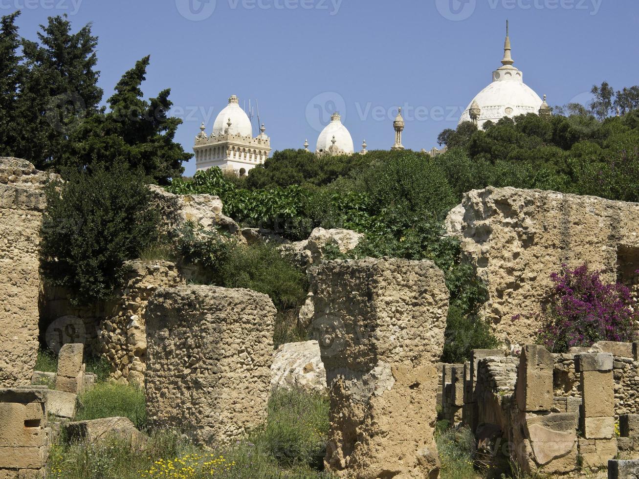 die Stadt Tunis in Tunesien foto