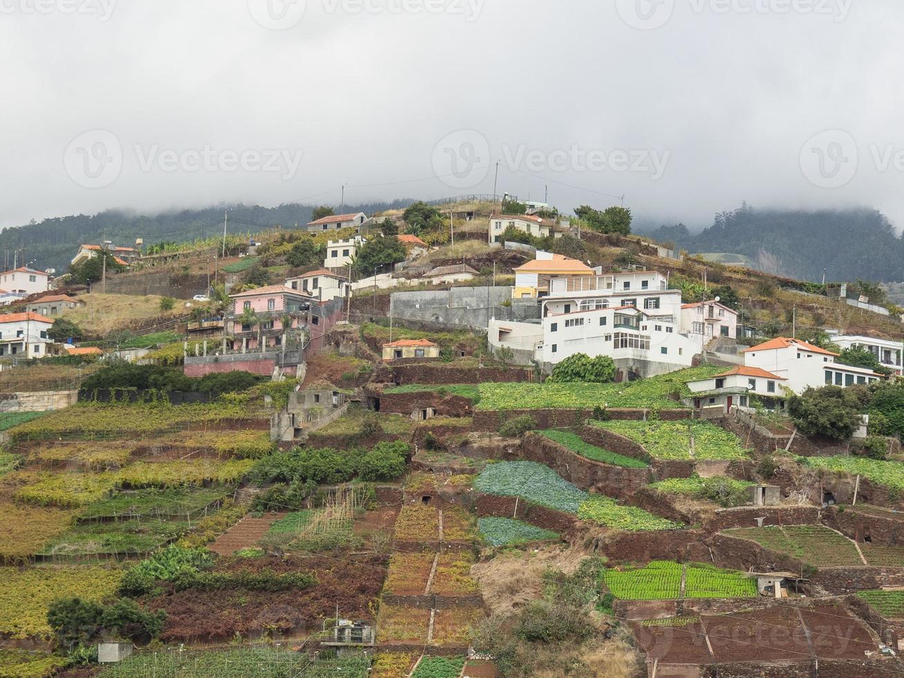 Madeira-Insel in Portugal foto