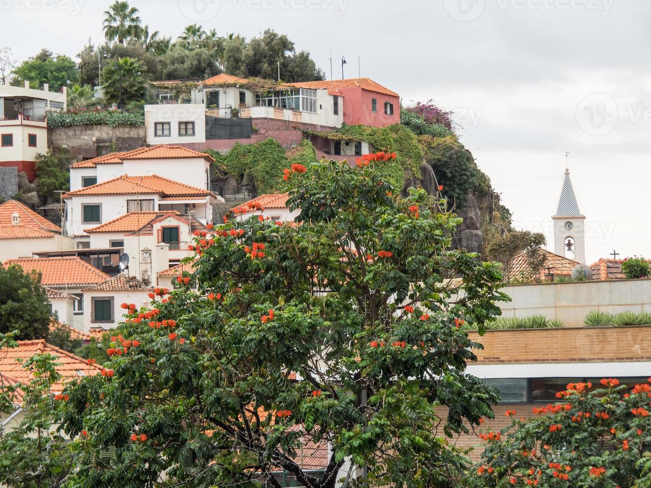 die portugiesische Insel Madeira foto