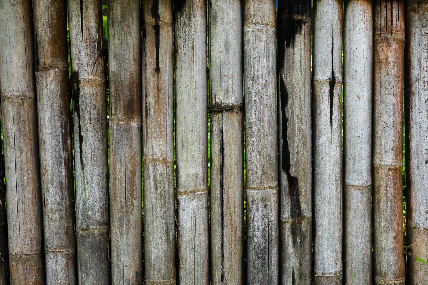die Oberfläche der Bambusbrettwand für den Hintergrund. alter getrockneter bambus mit detaillierter textur. foto